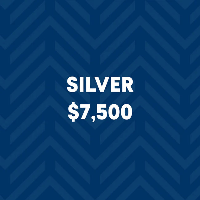 Silver Level